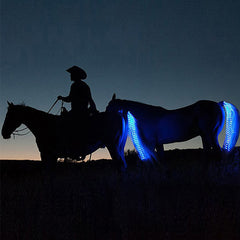 CABALLO ARNES Y COLA LED MULTICOLOR