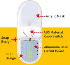 LED Carriage Light