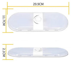 LED Carriage Light